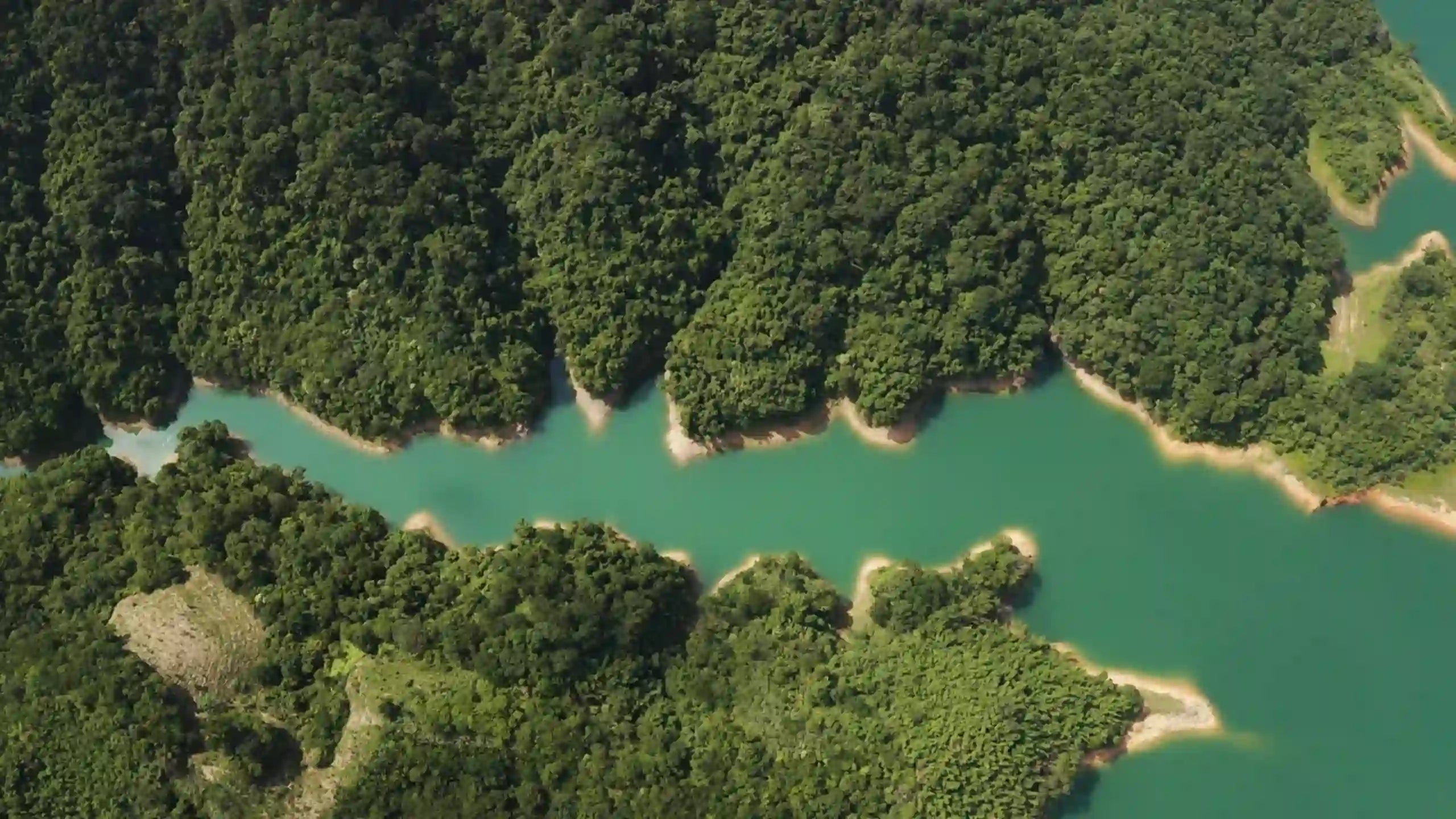 OUR PLEDGE Image for Sustainbility of CUKIDRIPs Streetwear Apparel | beatuiful Riverbed in Rainforest | Premium Crypto Streetwear